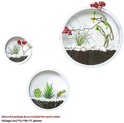 3 Pack Set Wall Planters,Modern Round Glass Wall Planter Succulent Planter Circle Iron Hanging Planter Vase for Herb,Small Cactus Perfect for Balcony, Room and Patio Decor (White)