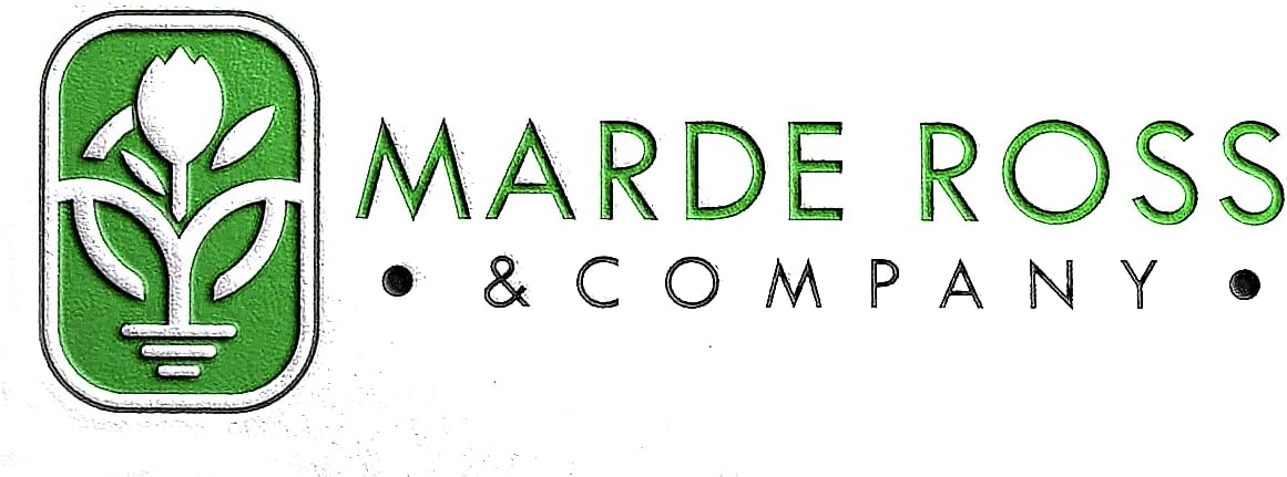 20 Saffron Sativus Crocus Corms - Premium Quality Saffron Bulbs for Planting with Comprehensive Growing Instructions