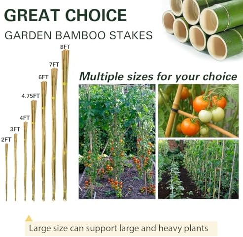 20pcs Bamboo Stakes 6 Feet, 6FT Garden Stakes Multi-Purpose, 5/8" Dia Plant Stakes for Tomatoes, Beans, Cucumbers, Peppers, Potted Trees, Maintain the Plant Posture, Strengthen and Stem