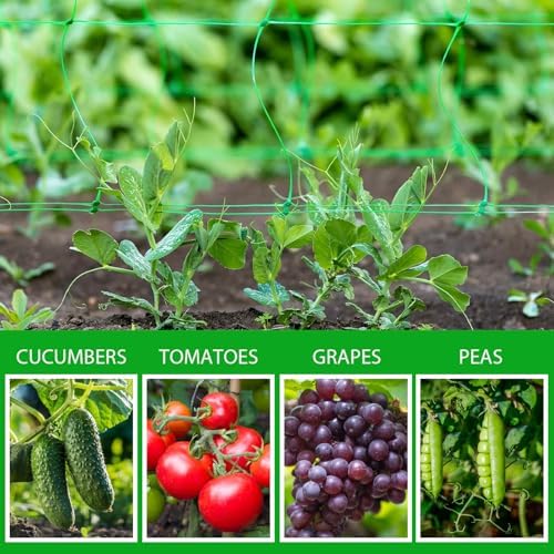 Toolazy Trellis Netting 59" x328' Green - Heavy Duty 6" Mesh Plant Support Net for Climbing Vegetables, Garden Trellis Roll for Tomato Cucumber Pea Bean Vine Grow Tent Scrog Hydroponic
