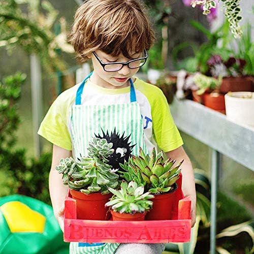 Nursery Pot, 75 Pcs 4 Inches Plastic Nursery Seed Starting Pots