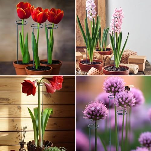 2 Pack (DIY) Plant Support Stakes, Three Sizes (12 or 24 or 36 inch) Plant Support Rings with 20 Pcs Plant Twist Ties, Garden Stake for Indoor Outdoor Plant Flowers, Amaryllis,Tomatoes