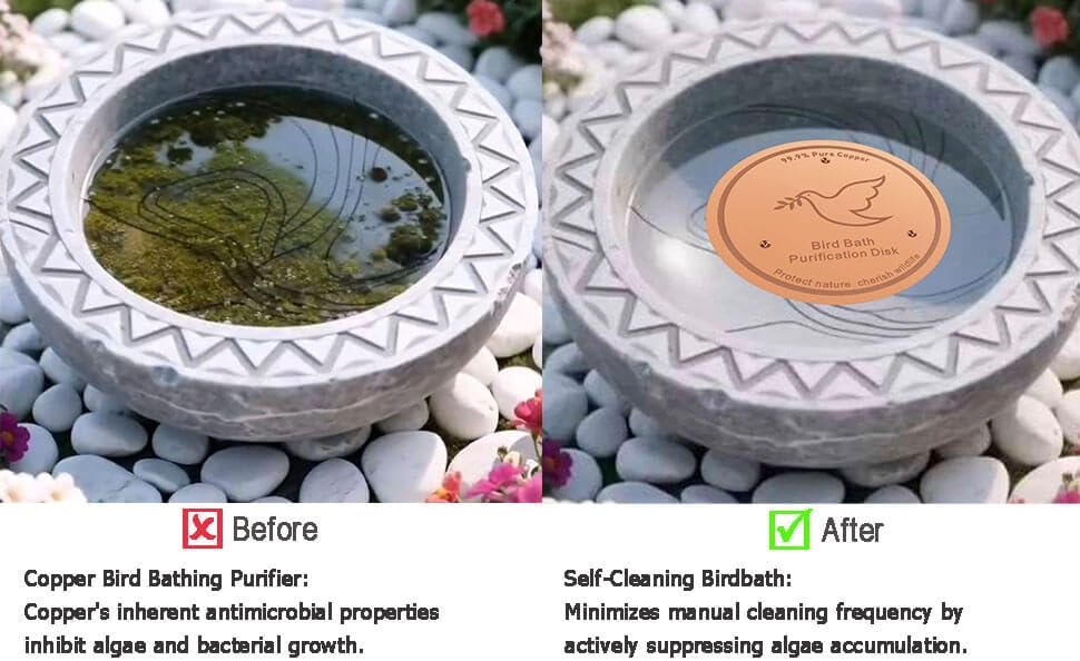 2Pack Bird Bath Copper Purification Disk | 0.6mm Reinforced 99.9% Pure Copper | Universal Fit for Outdoor Birdbaths(Birdbath Copper 2 Pack)