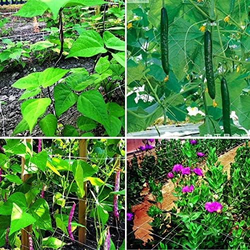 White Trellis Netting 5x100 ft Heavy Duty Garden Trellis Netting Polypropylene Plant Support Garden Net for Climbing Vegetables Fruits Flowers