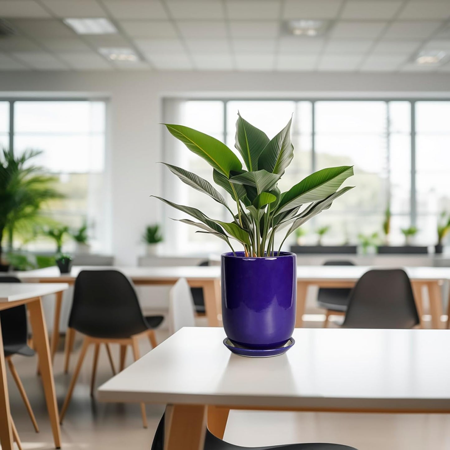 Ceramic Plant Pot - 8 Inch Planter for Indoor Plants Outdoor Flower Pot with Drainage Hole and Saucer Home Patio Office Decor Blue