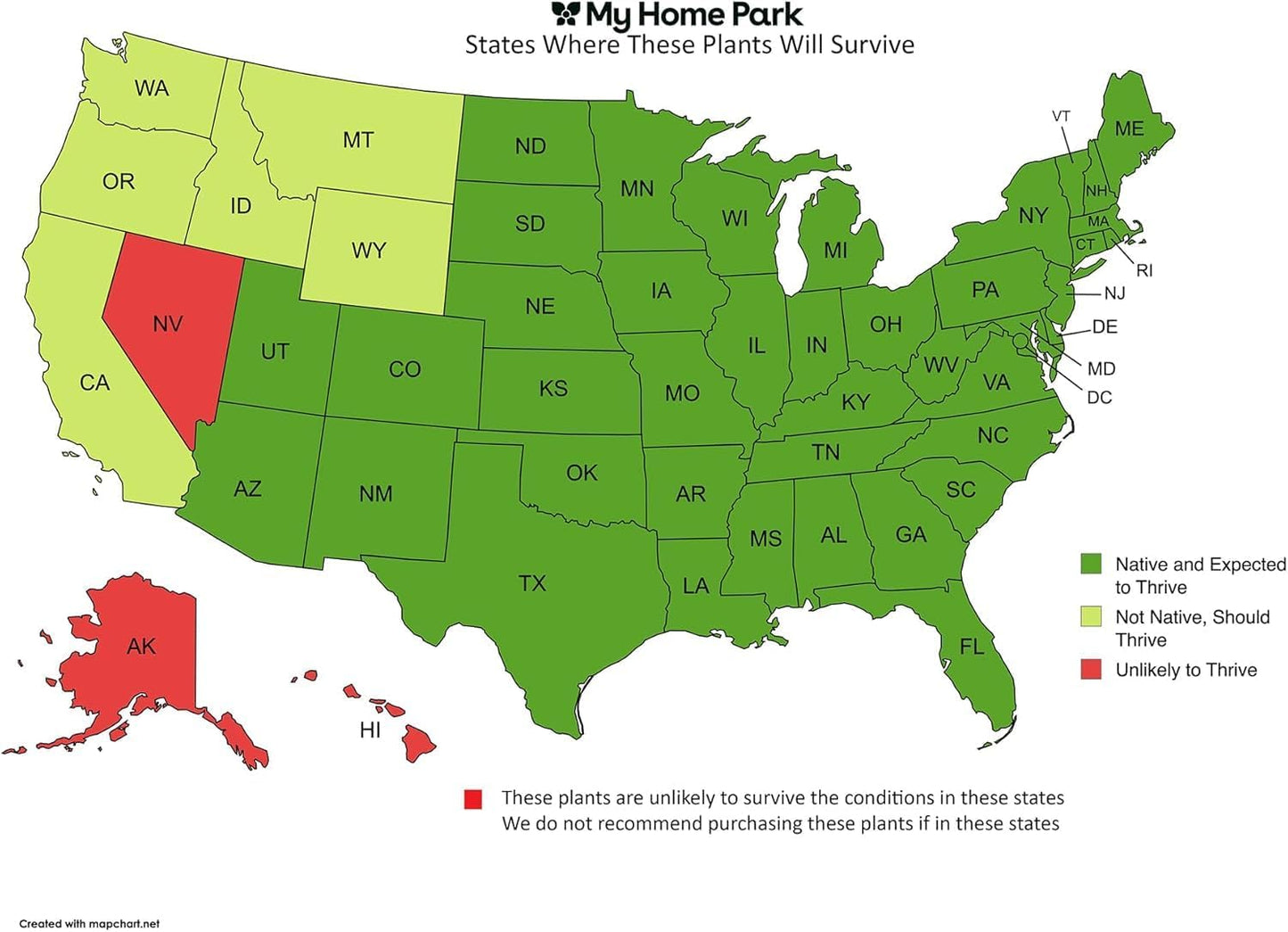 3 Live Butterfly Milkweed Plants (Asclepias tuberosa) Perennial Wildflowers from My Home Park – Individually Potted in 4” Pots – 4–8” Tall on Arrival – Not Seeds – Blooms in Mid-Summer – Zones 4-8