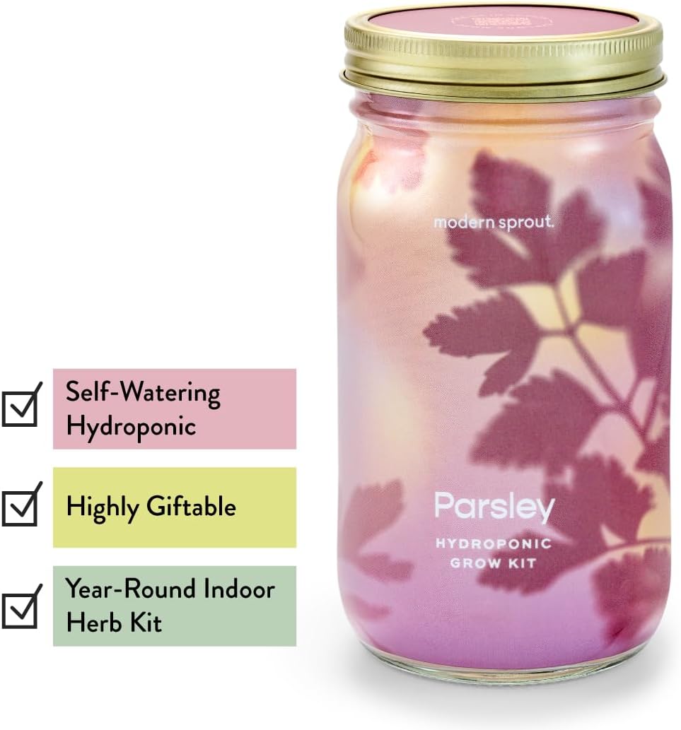 Modern Sprout Mason Garden Jar - Self-Watering Hydroponics Growing System Kit with Organic Herb Seeds - Jar Planter for Indoor Herb Garden - Seed Starter Kit - Home Decor & Gifting - Parsley