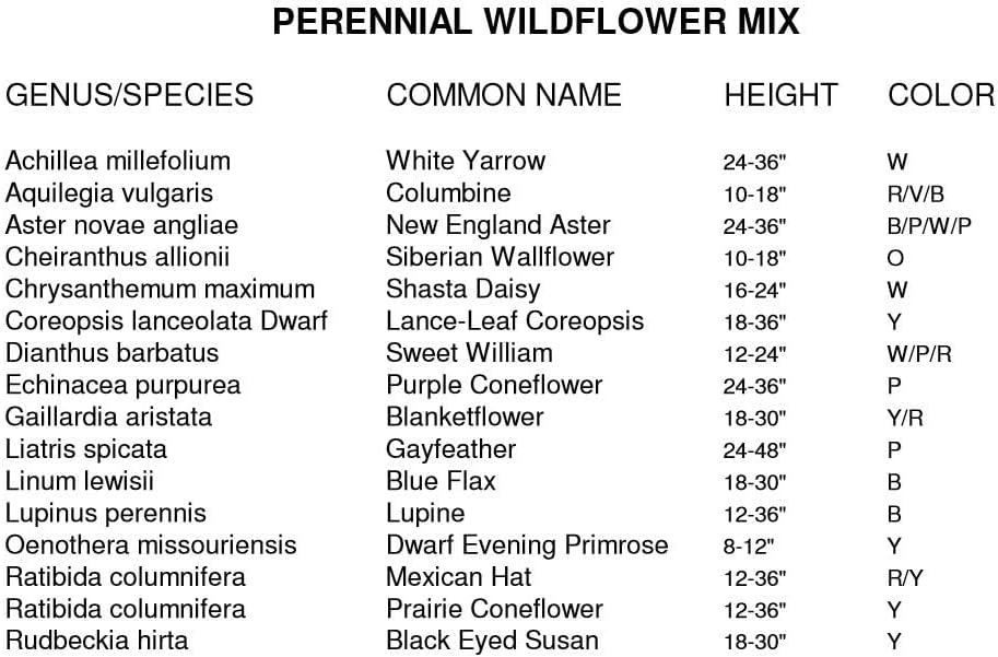Dirt Goddess Super Seeds~ All Perennial Wildflower Seed Mix (1 LB) 375,000 Seeds