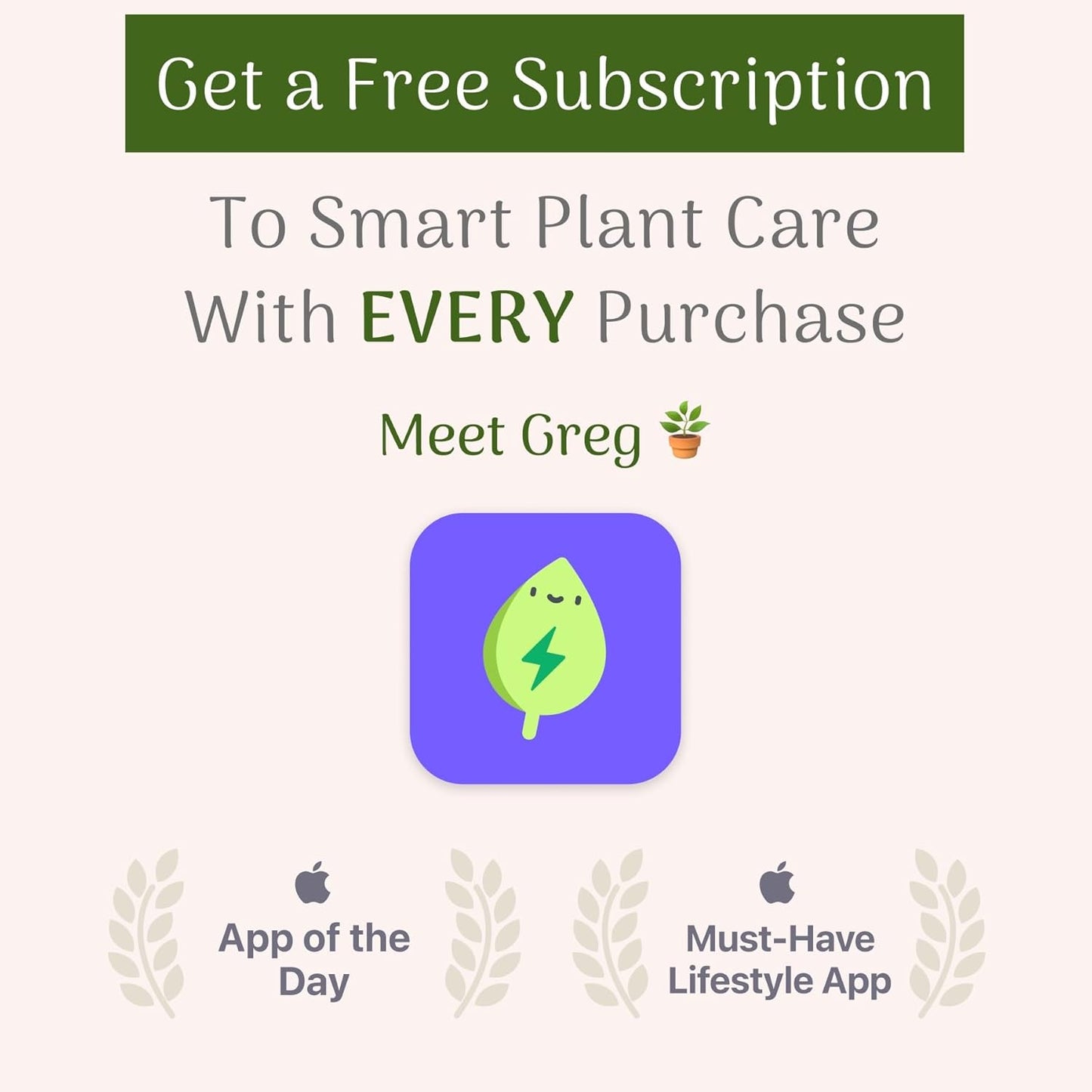 American Plant Exchange Arabica Coffee Real Live Plant, 6" Pot, Flowering Indoor Outdoor Air Purifier, Green Rippled Leaves