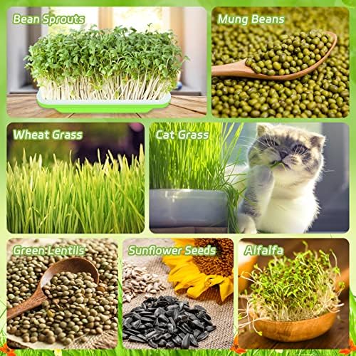 16 Pack Seed Sprouter Trays, Microgreens Growing Trays Kit