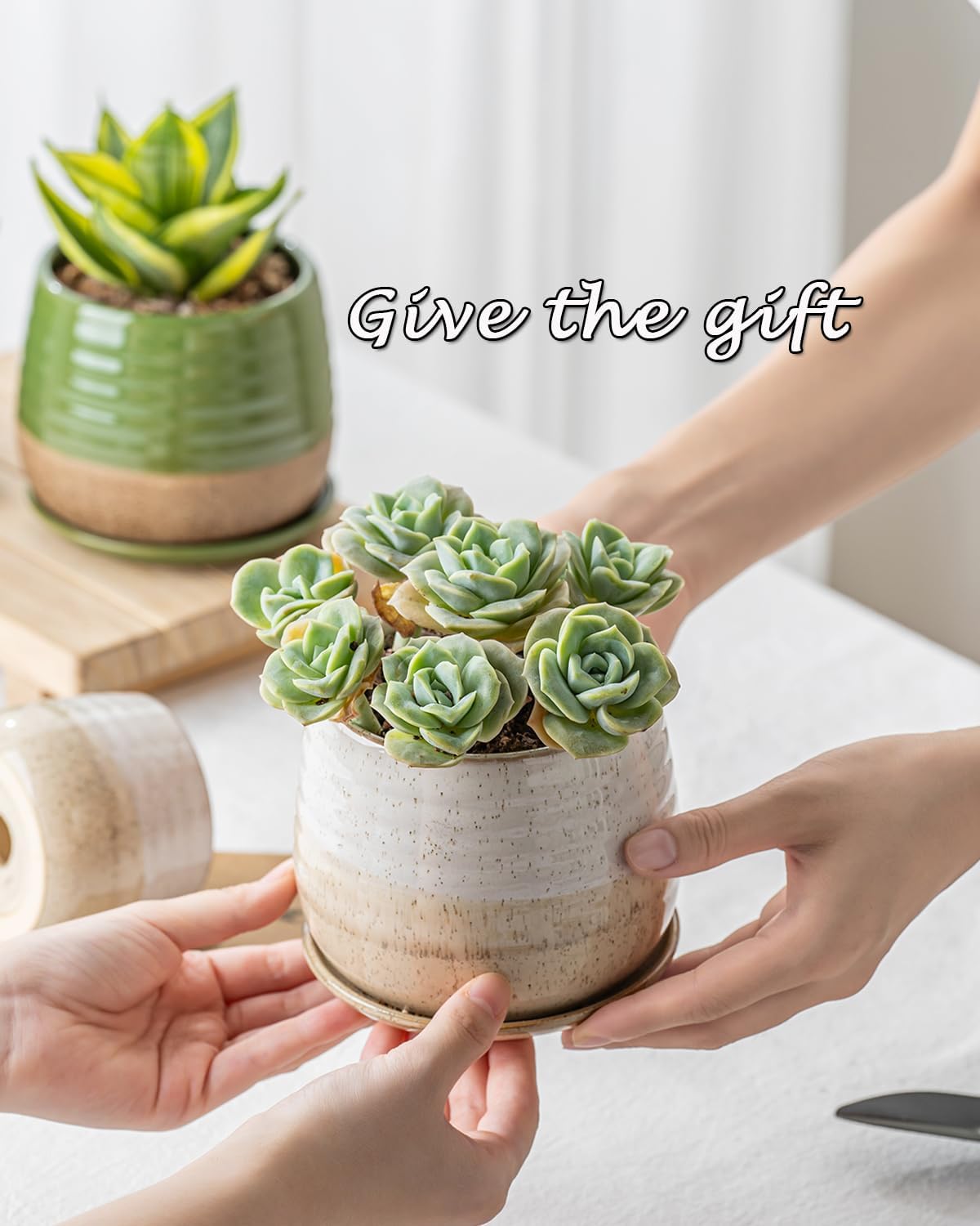 3 Piece Ceramic Small Planter for Indoor Plants - Succulent Plant Pots with Drainage Holes and Saucers - 3.4/4.7/6.1 inch Modern Decorative Small Flower Pots for Bamboo, Succulents and Herbs, Green