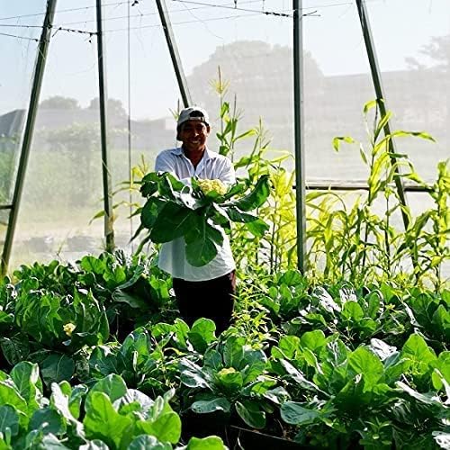 Garden Netting Bird Net 4x10Ft for Bug Protection