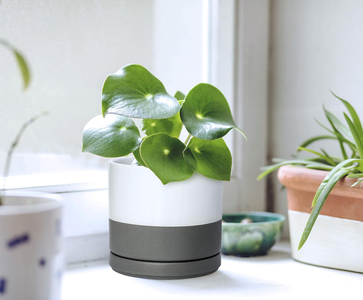 D'vine Dev Set of 2 Plants Pots, 4.6 Inch Ceramic Planter Pot for Plants with Drainage Hole and Saucer, White/Speckled Grey, 94-V-B-6