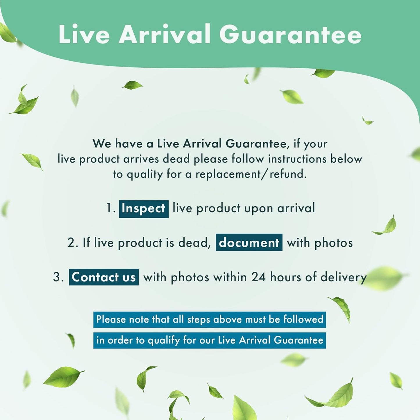 Anubias Live Aquarium Plants - Potted Freshwater Plant for Fish Tanks, Terrariums - Beginner Friendly Low Light (Spear Leaf, 5 Pots)