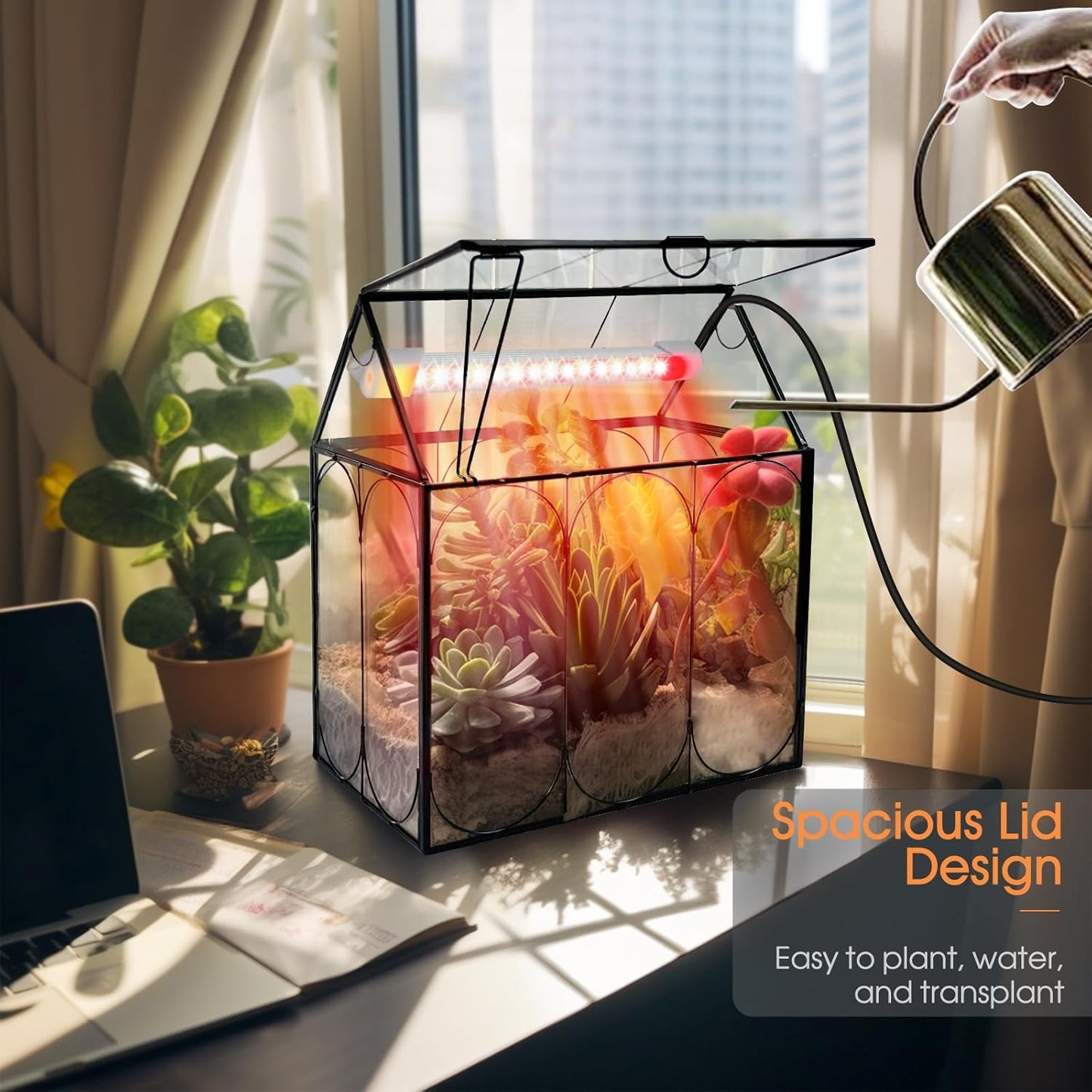 Plant Terrarium Kit with Grow Light, Rifny Small Glass Terrarium Jar with Absorbent Mat and Lid for Venus Fly Trap Succulent Live Air Plants Indoor Home Office Decor (Black, 7.1 x 4.8 x 8.8 inch)