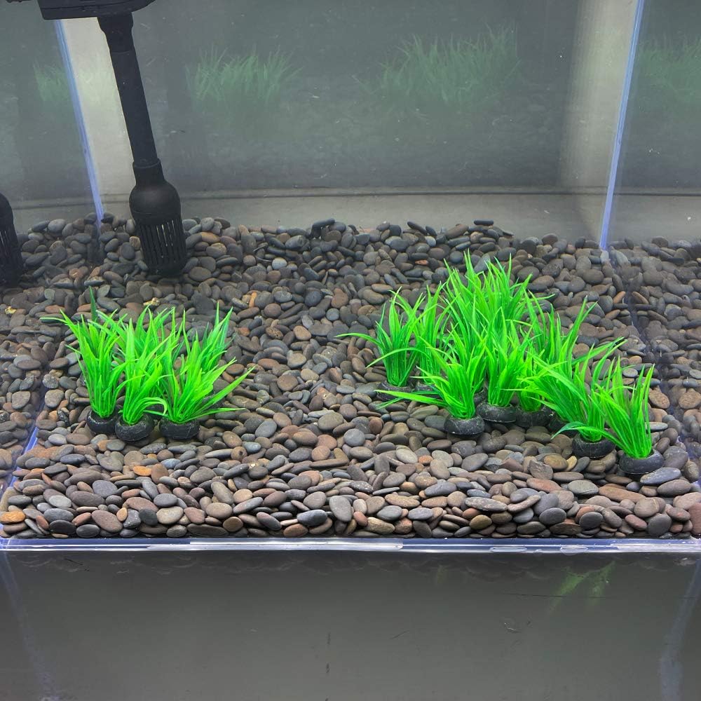 Smoothedo-Pets Aquarium Plant Fish Tank Decoration 20 Pieces Small/1" Tall Plastic Artificial Plant Goldfish Hidden Mini Grass Set (Green-B)