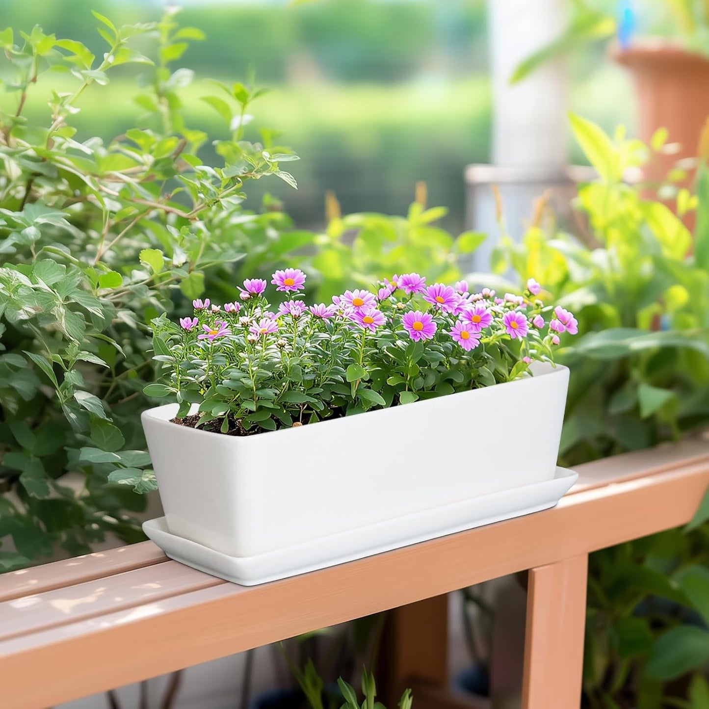 SQOWL Rectangular Planter - 10 Inch Ceramic Pots for Plants with Drainage Hole and Saucer, Succulent Pots for Indoor Outdoor, Cactus Herb Flower Planter, Home Decor, Gifts for Plant Lovers, White