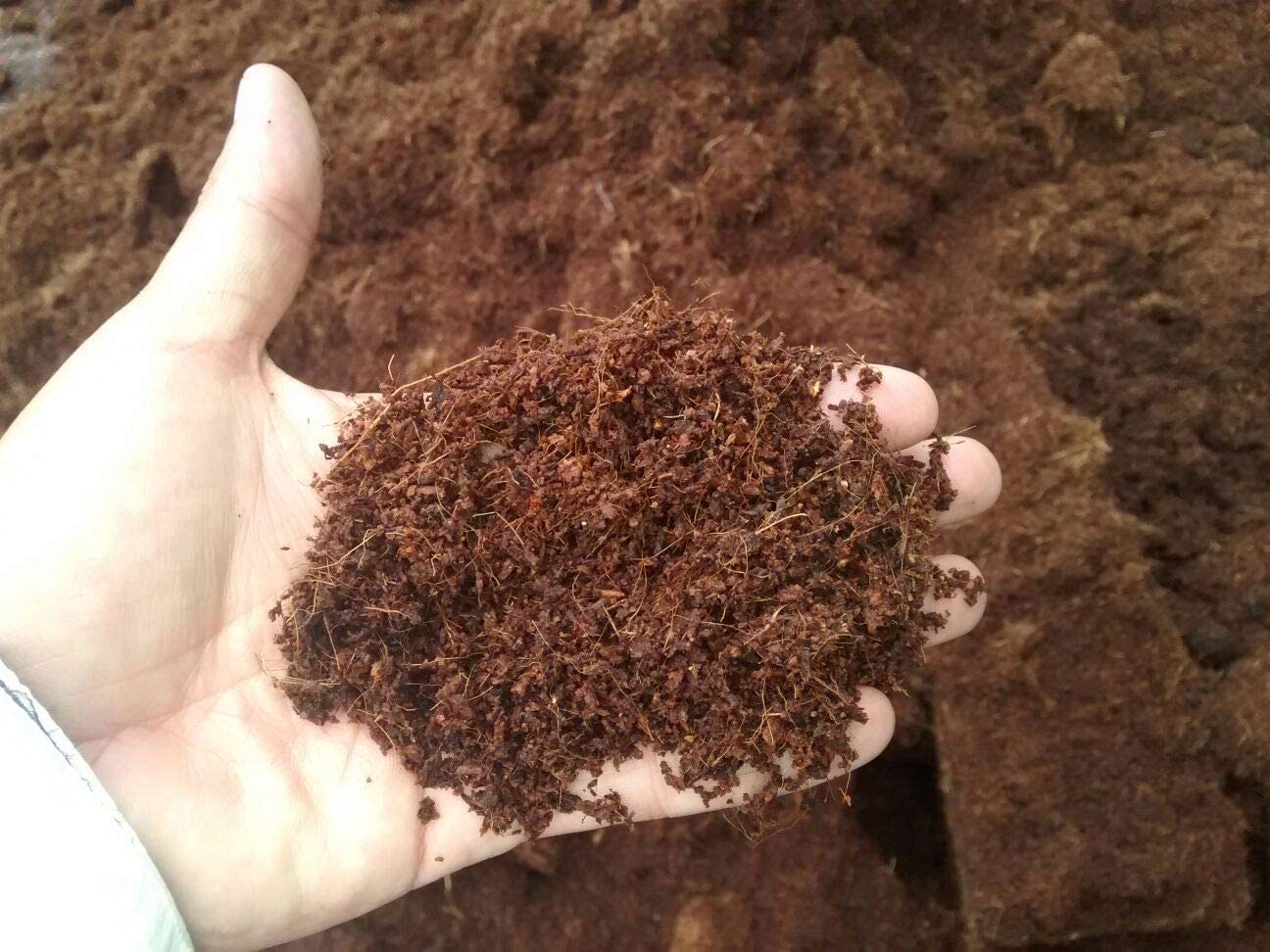 Home and Country Triple Washed Compressed Coco Coir Brick (50 LBS) - Coco Fiber is an Ideal Compost Starter for Your Home Garden. Coco Coir Bricks Provide Organic Alternative to Peat Moss for Plants.