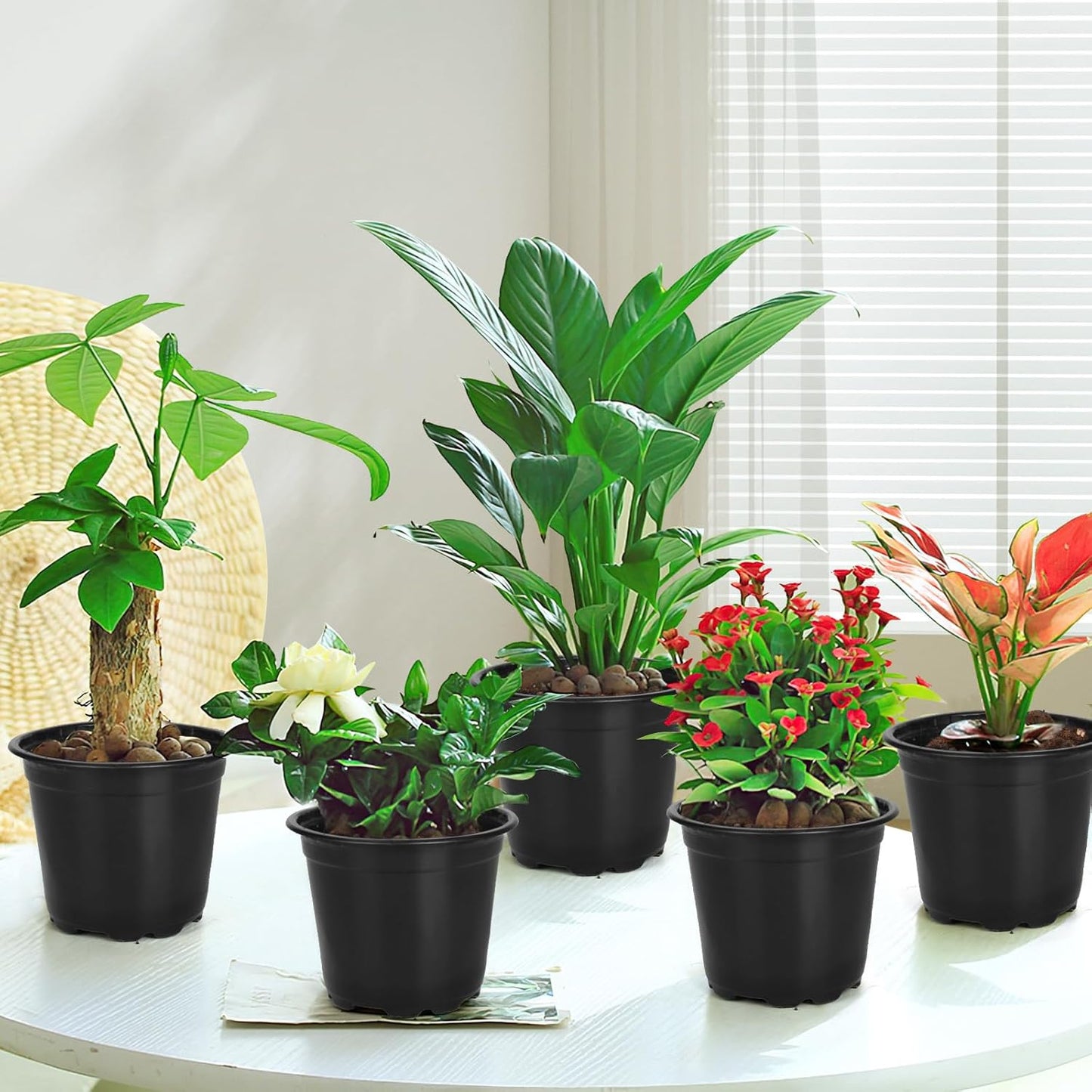 60 Pack 5 Inch Nursery Pots for Plants, Plastic Seeds Starter Pots with Drainage Holes, Small Plastic Plant Nursery Pots for Succulents Seedling Cutting Transplanting (60, 5 Inch)