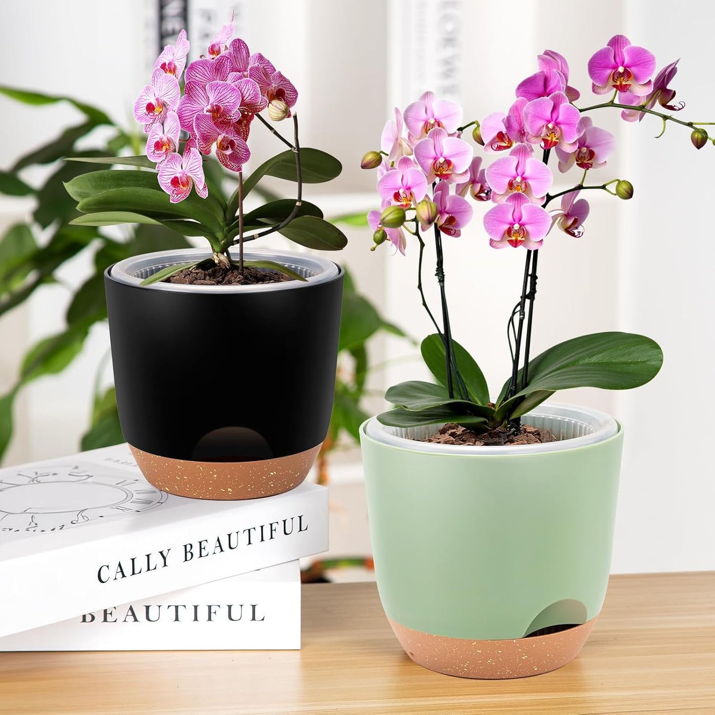 Self Watering Orchid Pots for Indoor Plants,5.8 Inch Macetas para Orqudeas,Flower Pots for Indoor Plants with Holes(Green)