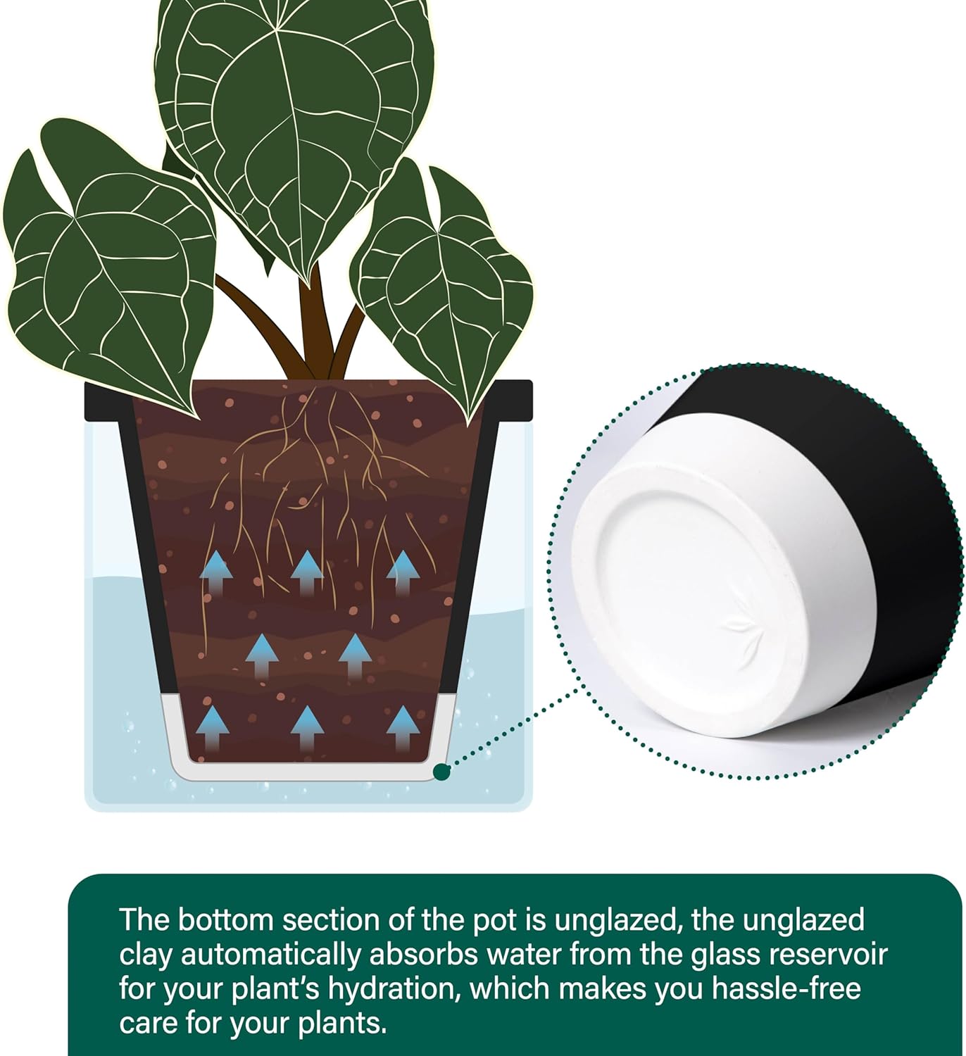 D'vine Dev 6 Inch Design Self Watering Planter for Indoor Plants, Black Terracotta Pot with Cylinder Glass Cup, Set of 2, 37-Y-B-3