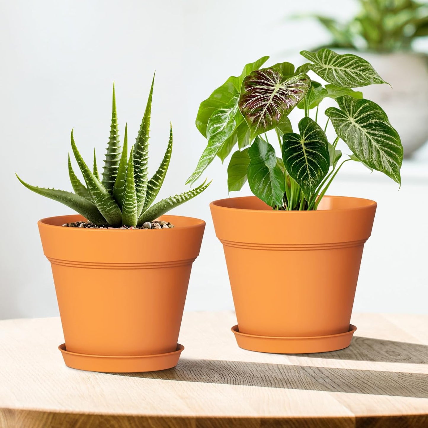 6 Inch Thick Plastic Plant Pots with Drainage Holes and Trays – 6 Pack Nursery Pots for Indoor & Outdoor House Plants, Seedling Starter Planters for Garden Flowers, Terracotta