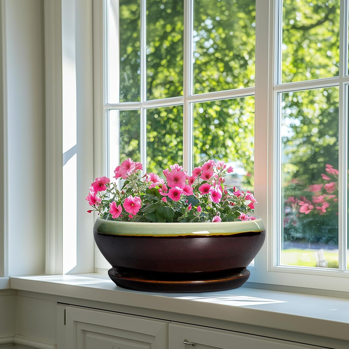 SQOWL Bonsai Pots 12 Inch - Large Ceramic Pots for Succulents with Drainage Hole and Saucer, Shallow Planter for Indoor Plants Outdoor, Round Planter Bowl, Office Decor, Gifts for Women, Green-Brown