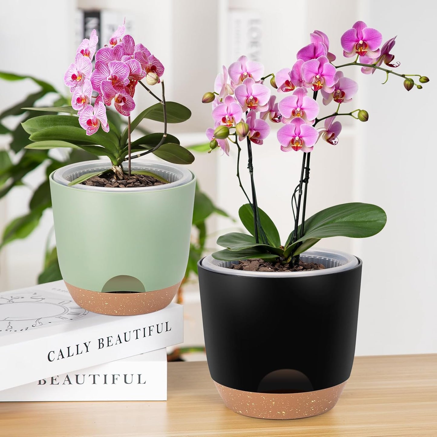 Self Watering Orchid Pots for Indoor Plants,5.8 Inch Macetas para Orqudeas,Flower Pots for Indoor Plants with Holes(Black)