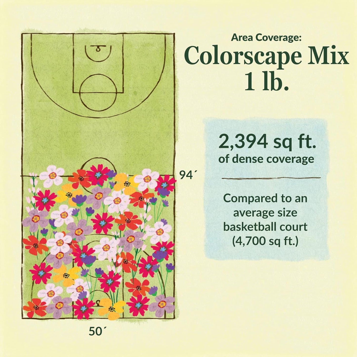 Ferry-Morse Colorscape Mix Bulk Flower Seeds, 1lb