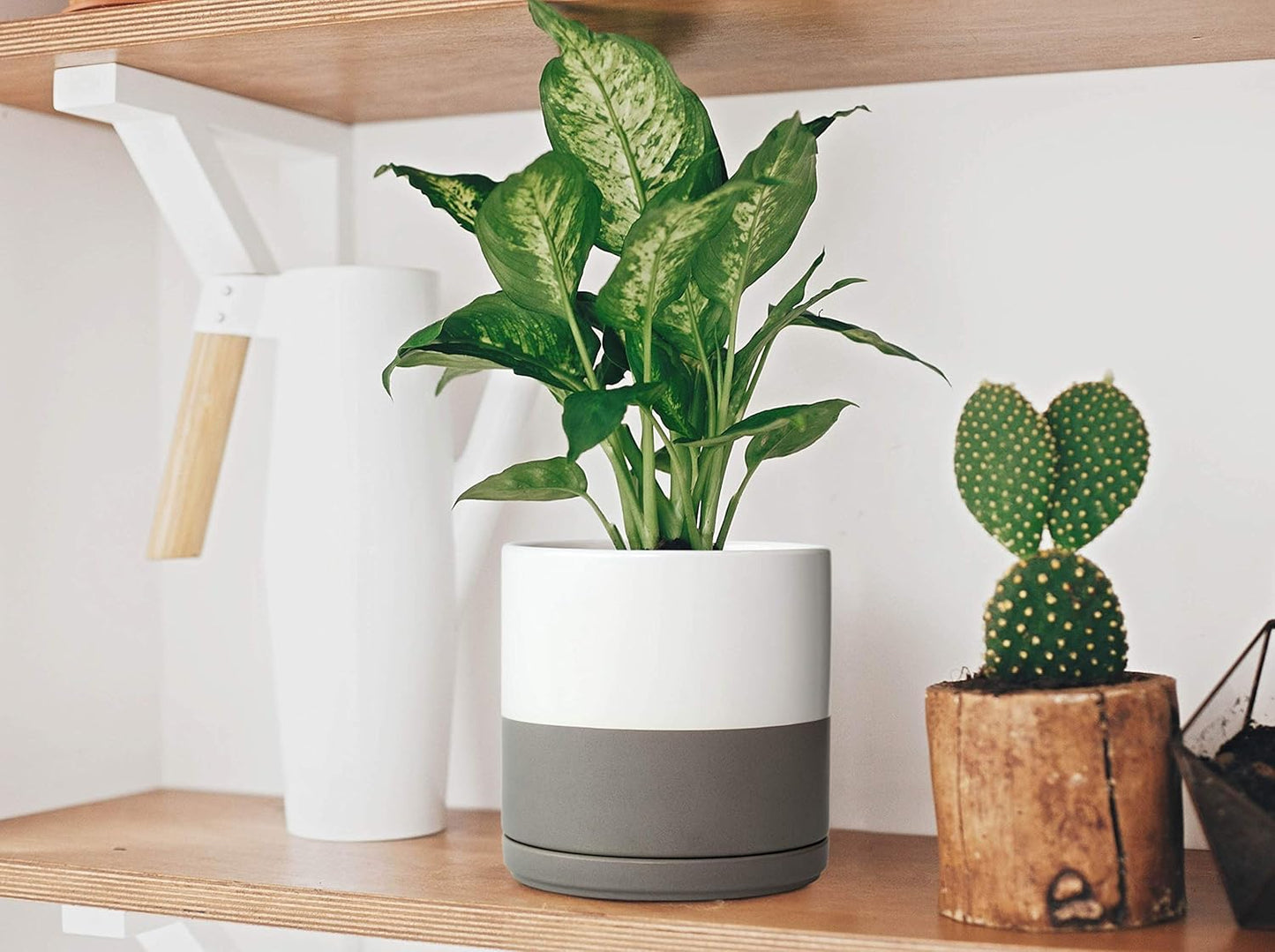 D'vine Dev 8 Inch Ceramic Planter Pot with Drainage Hole and Saucer, Indoor Cylinder Round Planter Pot, White/Speckled Grey, 94-O-D-6