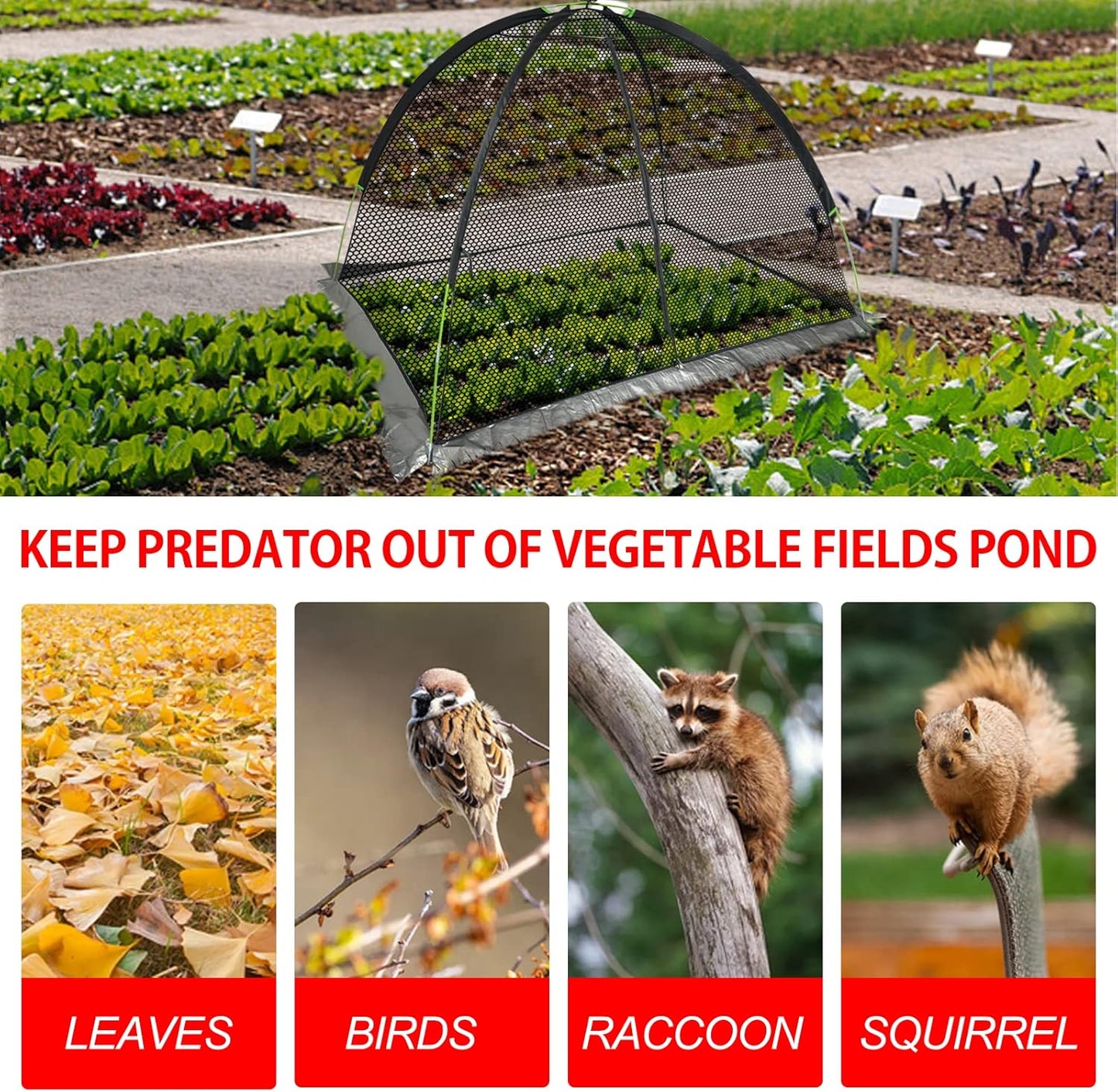 Pond Cover Dome: Protective Netting Tent for Outdoor Fish Koi Ponds Garden Leaves Vegetable Plant Care Use 8X10FT
