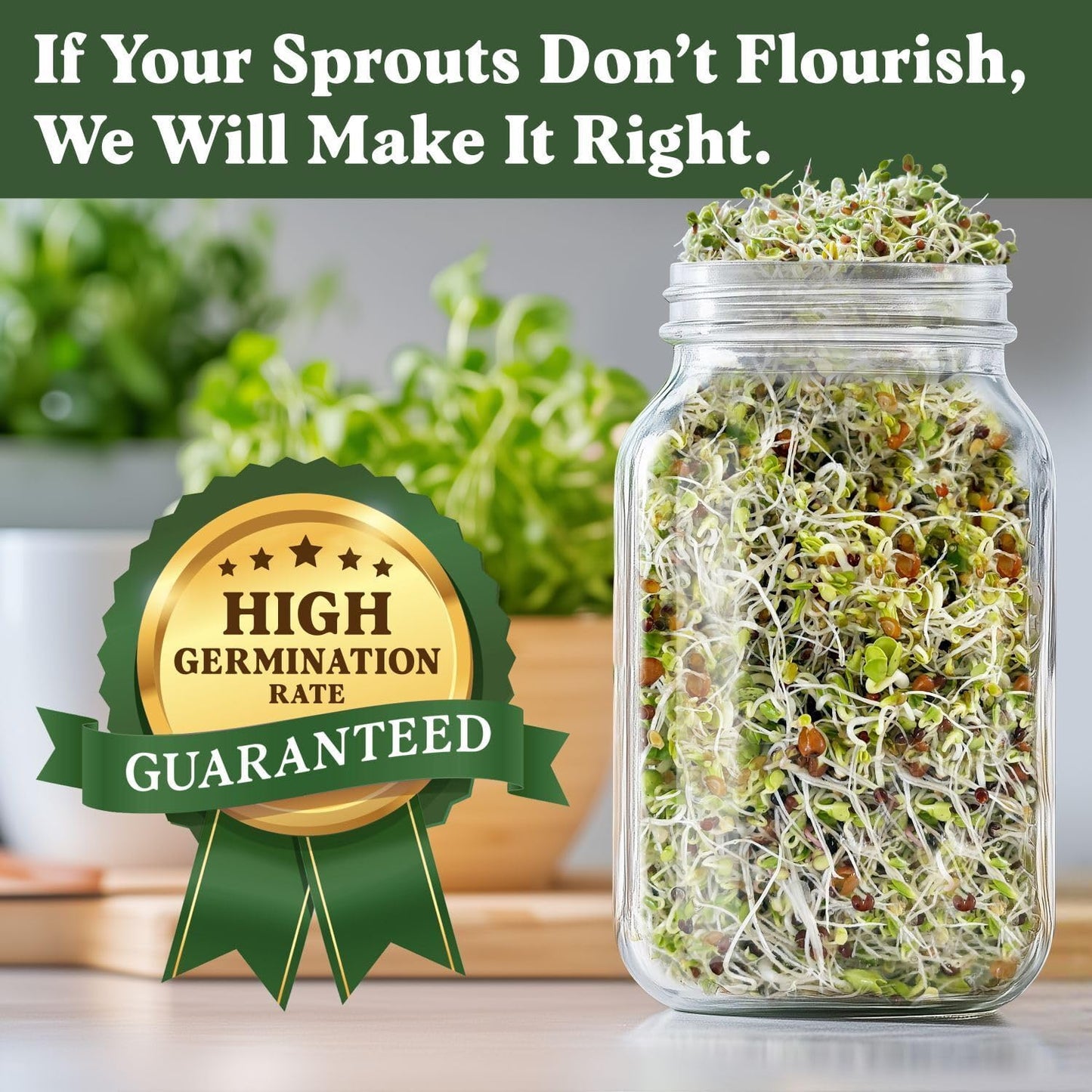 Seedboy Organic Sprouting Seeds Variety Pack - Two 8oz Bag Bundle - Superfood & Protein Blends, Non-GMO, USA-Grown Microgreens Mix, Makes 12 Quarts of Sprouts (36 Servings) (Superfood/Protein)