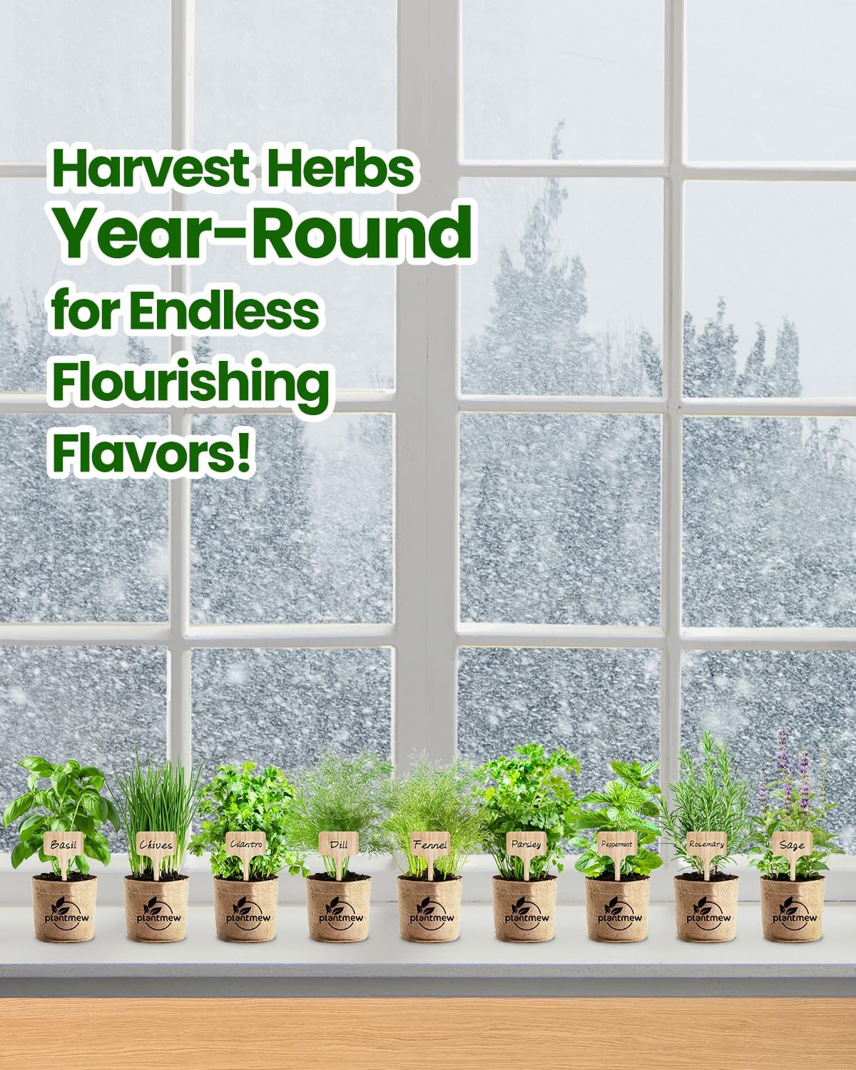 9 Herb Indoor Garden Kit - Unique Kitchen Gift for Women, Men, Mom, Friends - Complete Starter Set with Pots, Soil & Tools - Perfect for Windowsill, Countertop, Home Gardening