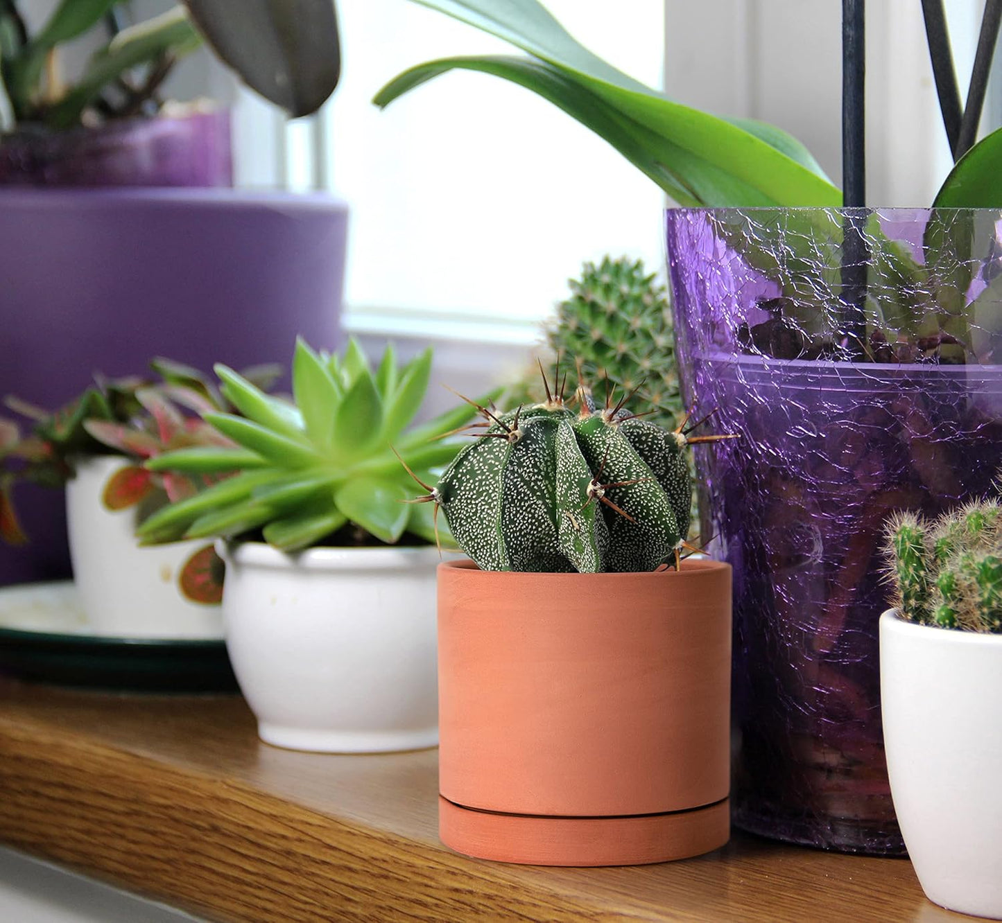 D'vine Dev X-Small 4 Inch Terracotta Plant Pot with Drainage Hole and Saucer, Round Cylinder Planter Pot for Indoor Plants, 40-X-A-1