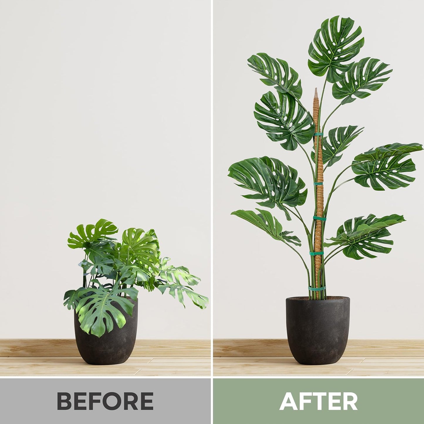 63'' Bendable Moss Pole Monstera Plant Support for Large Climbing Indoor Plants - Stakes for Potted Climbers - Tall Sticks Indoor Trellis for Houseplants - Accessories for Monstera Pot