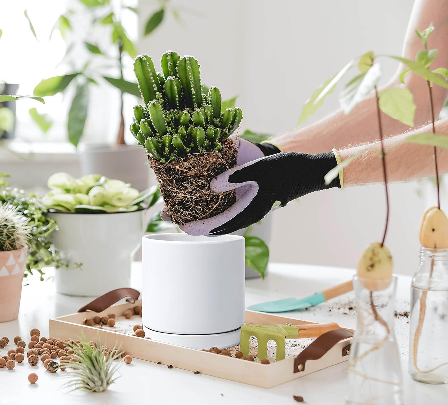 D'vine Dev Set of 2 Plants Pots, 6 Inch Ceramic Planter Pot for Plants with Drainage Hole and Saucer, White, 94-V-C-1