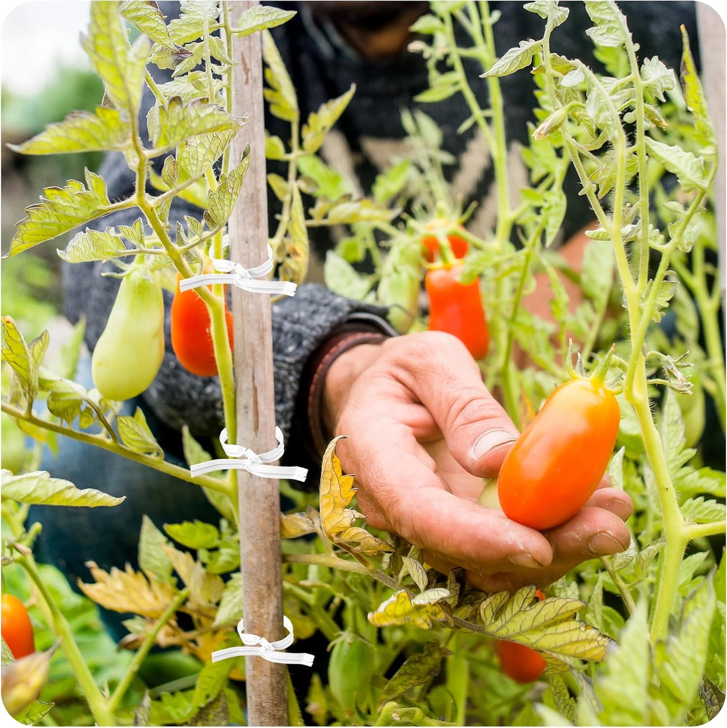 200PCS 4 Inch Kraft Paper Twist Ties, Reusable Cable Ties for Tying Bread, Plant Support, Bread Packaging, Candy Bags and Craft Projects (White)