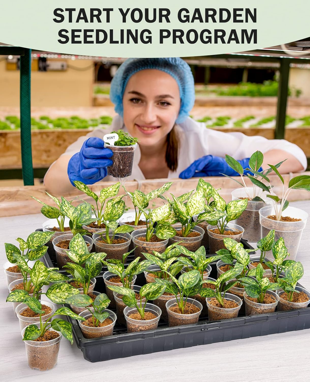 homenote Clear Nursery Pots for Plants,4 Inch Plant Pot for Planting Plastic Seedling with Drainage Holes Seed Starter Flower High Transparency with 20 Labels (60 Pack)