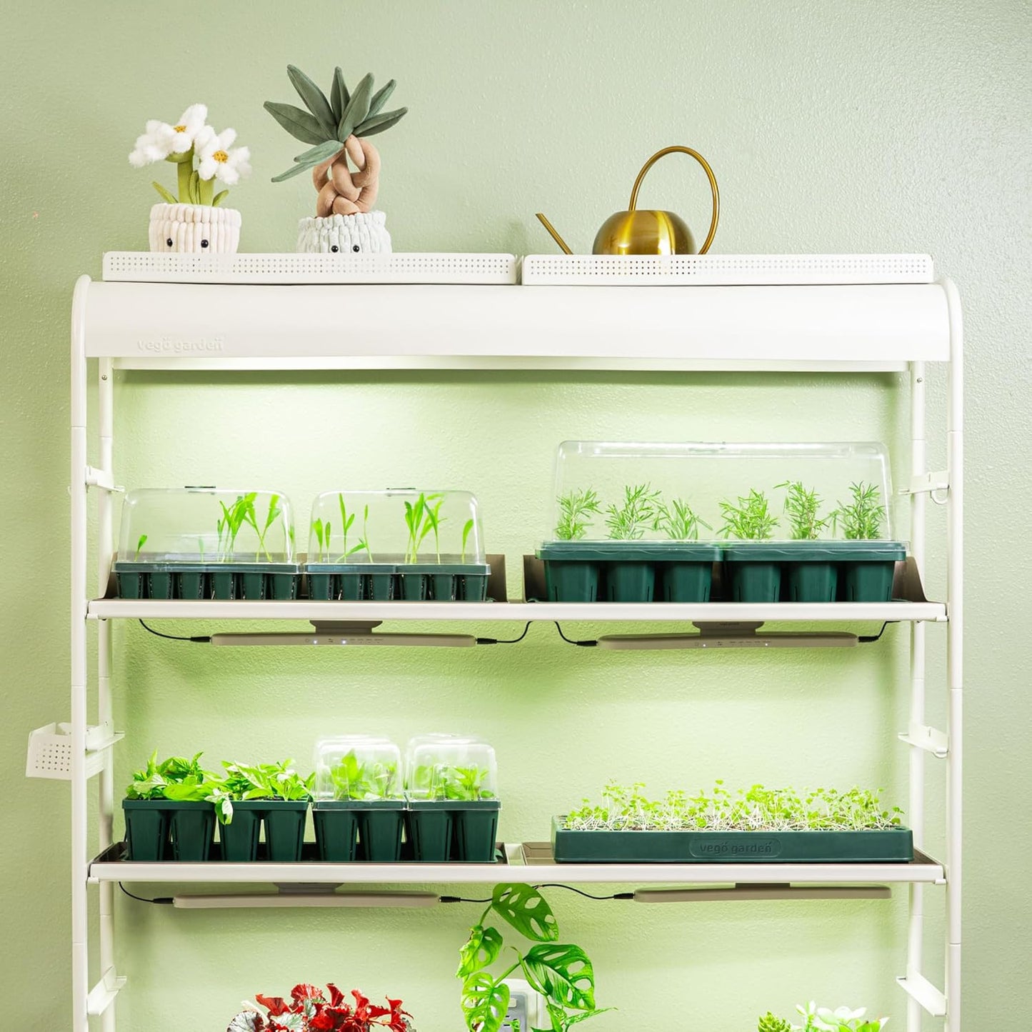 Vego garden Giga Seedling Trays - 4 Pack, 9-Cell UV-Resistant Reusable Starter Trays for Greenhouse/Garden (No Lids)