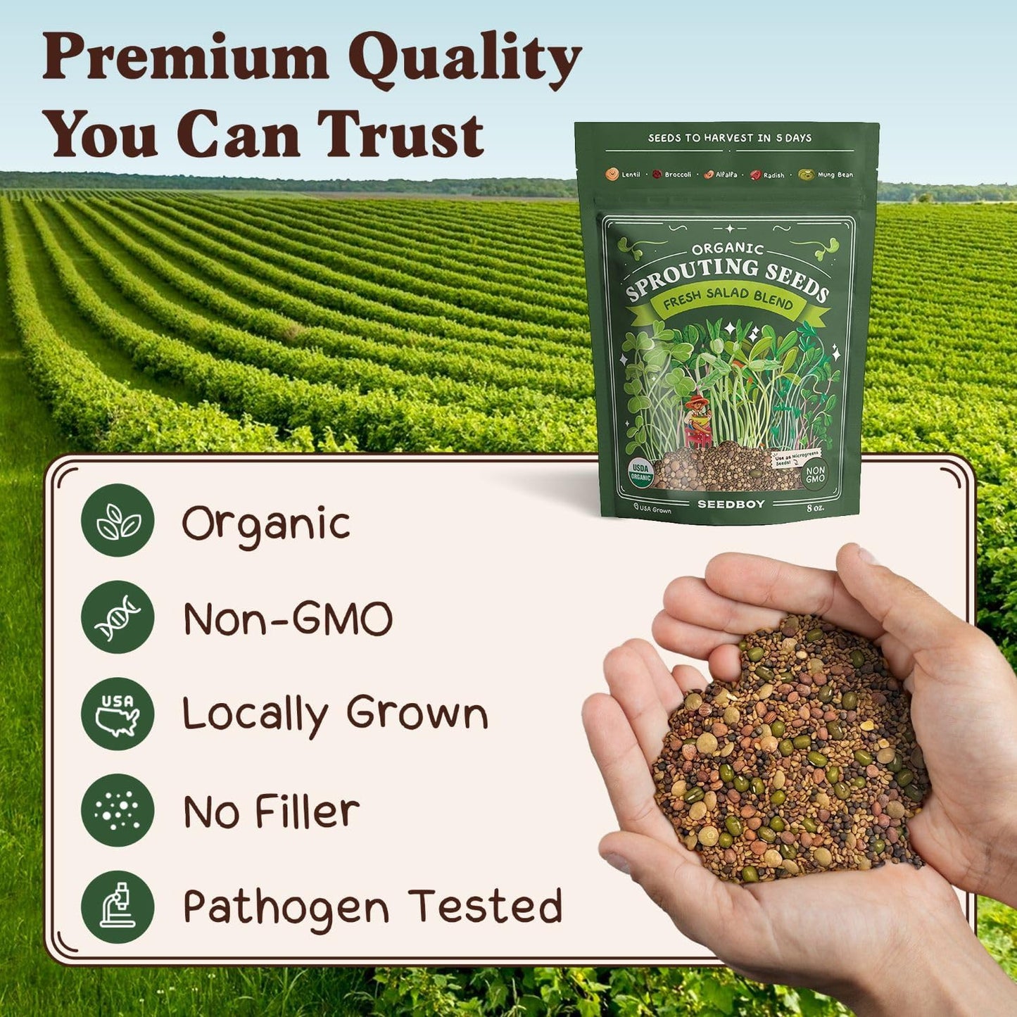 Seedboy Sprouting Kit Bundle - Sprouts Growing Kit with Jar, Lid, Stand and Organic Salad Blend Seeds (8 oz Bag, 24 Servings) - Non-GMO, USA Grown Microgreens - (Sprouting Jar/Salad Blend)