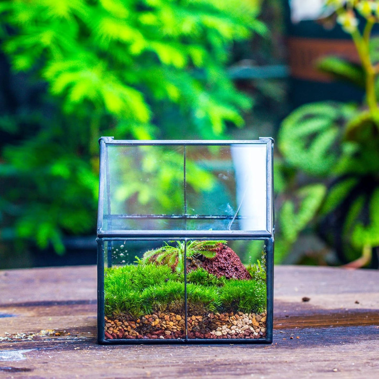 NCYP Mini Glass Geometric Terrarium with Lid - 4.25" x 4.25" x 4.92" Small House Shape Close Planter Pot for Succulents Plant - Handmade, Home Garden Office Tabletop Decor, Black (Terrarium Only)
