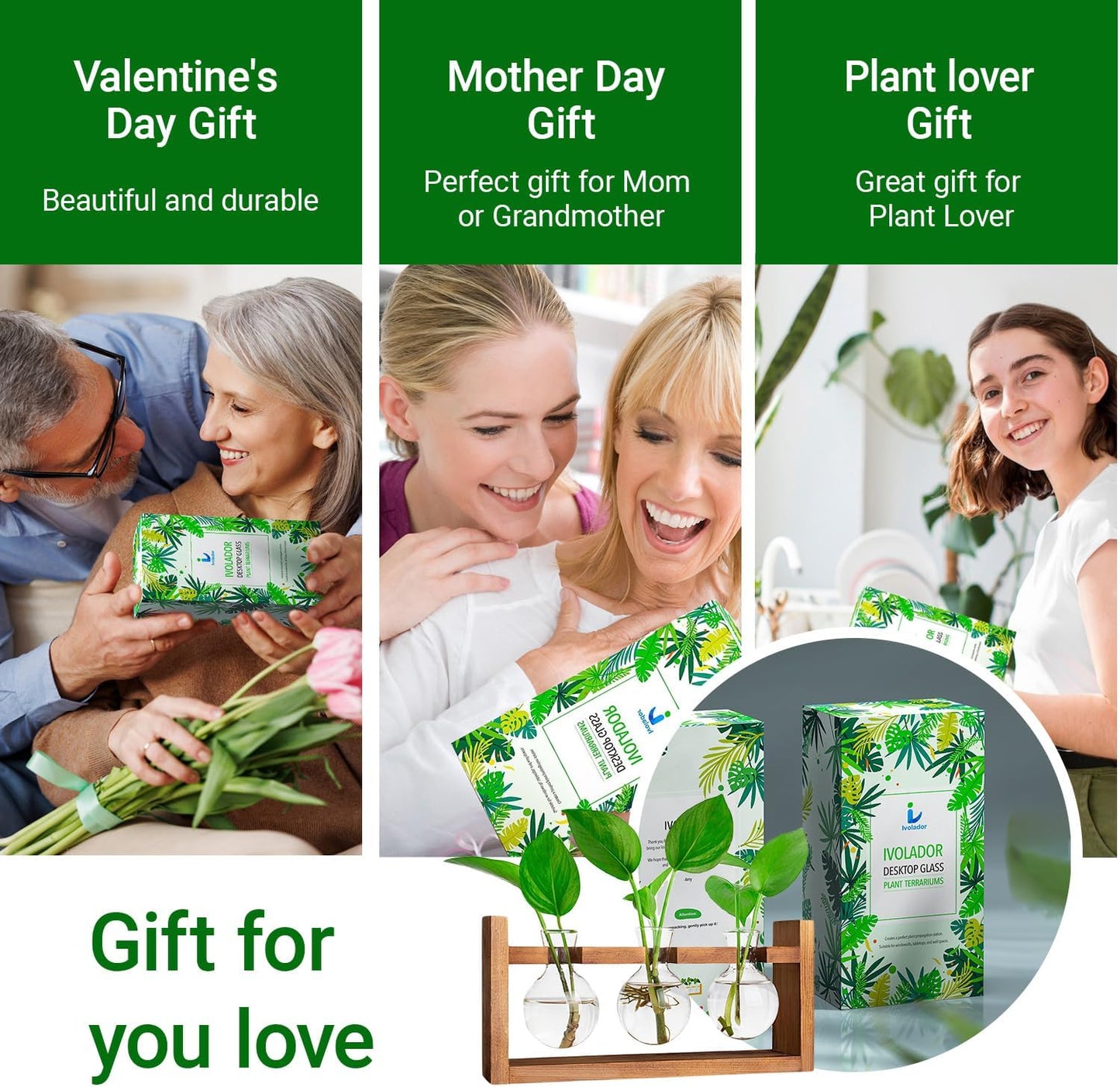 Plant Propagation Station,Plant Terrarium,Plant Starter,Gifts for Plant Lovers,Glass Bulb Terrarium with Retro Solid Wooden Stand for Hydroponics Plants Home Garden Wedding Décor (3 Bulbs)