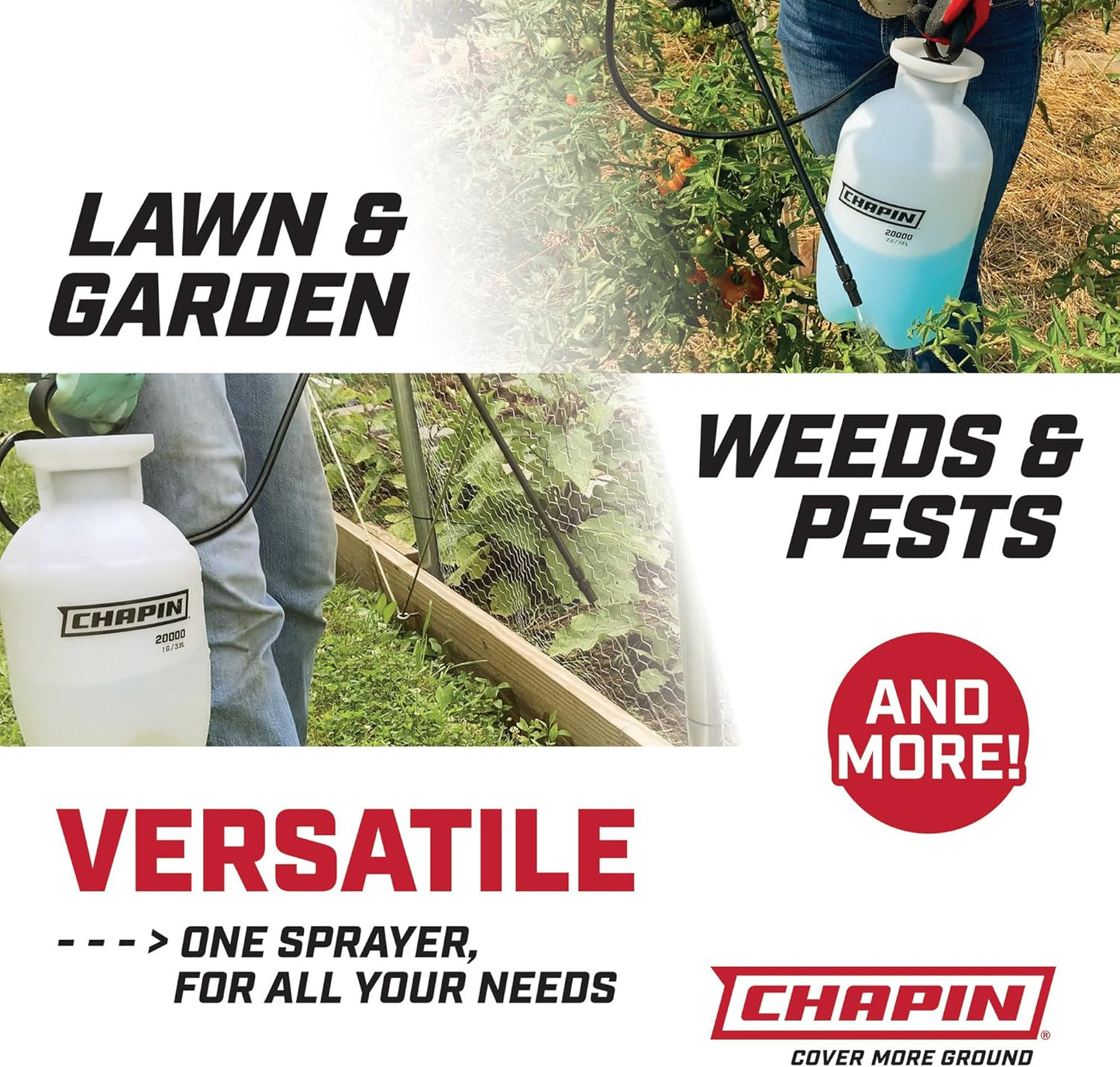 Chapin 20004 Made in USA 1 -Gallon Lawn and Garden Pump Pressured Sprayer, for Spraying Plants, Garden Watering, Weeds and Pests