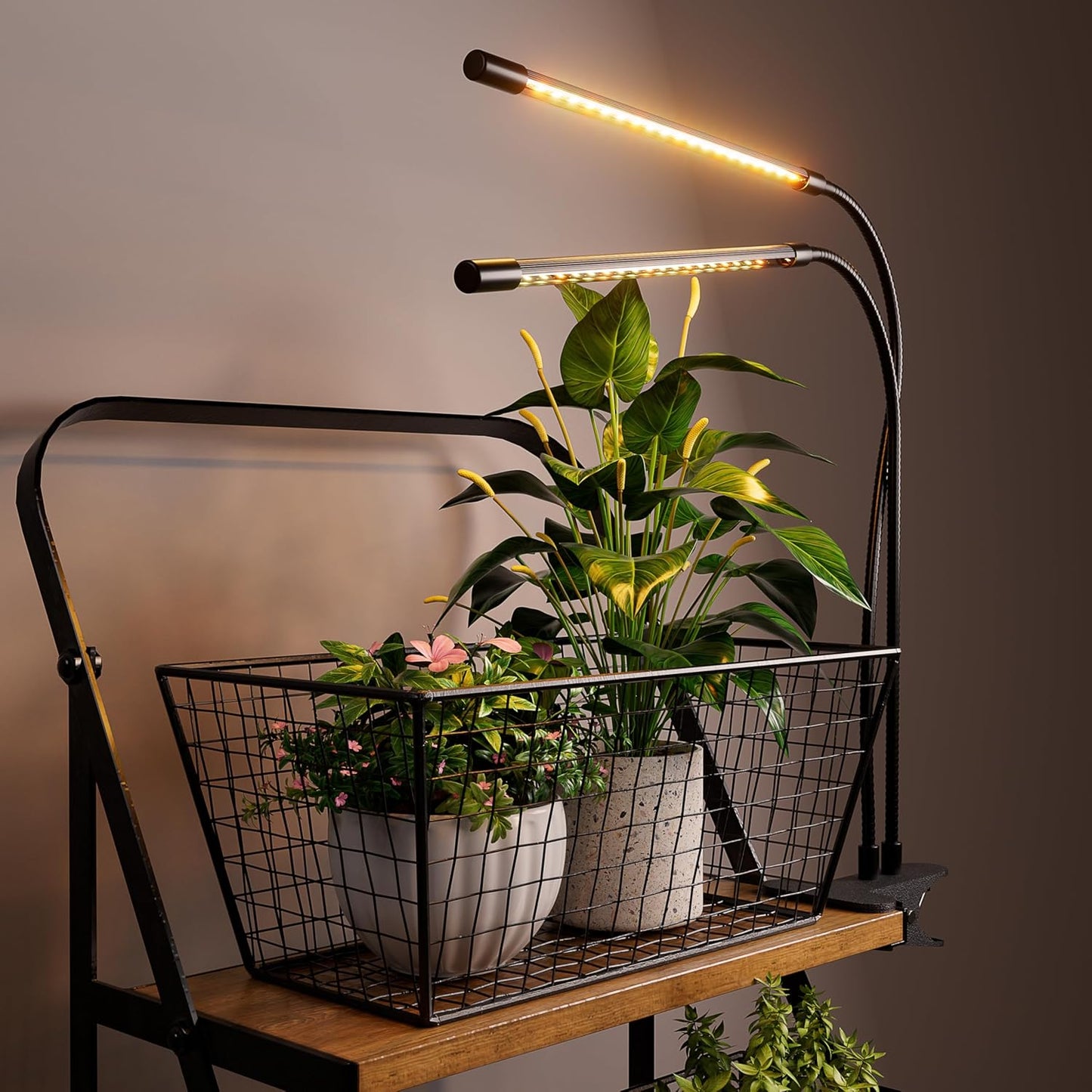 bseah Plant Grow Light for Indoor Plants, Full Spectrum Indoor Grow Light, 3 Modes & 10-Level Dimmable, Auto ON & Off Timer 3/9/12H
