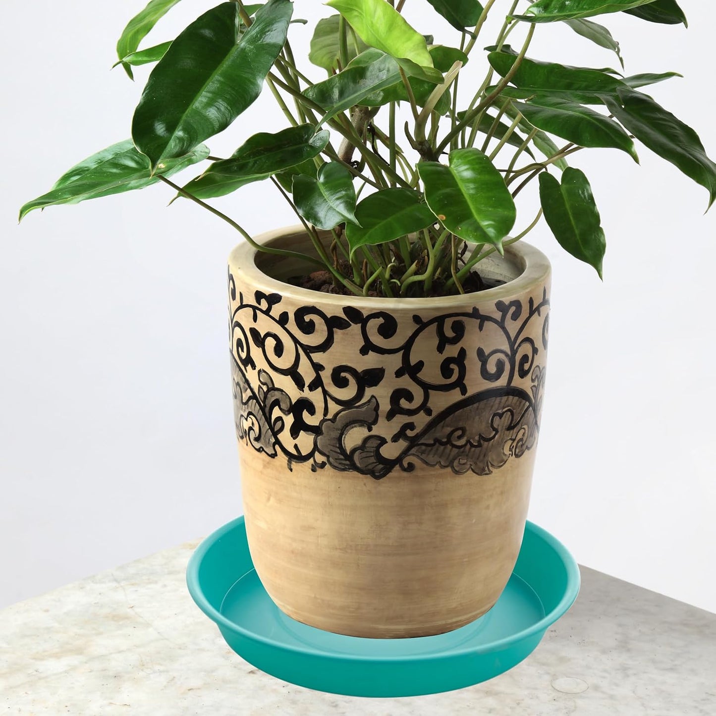 6 Pack Plastic Plant Saucer Water Drip Tray, 4 5 6 7 8 9 10 11 12 13 15 17 19 inch, Heavy Sturdy Plant Drainage Tray for Indoors Outdoor, Flower Saucers for Pots Base (4", Teal)