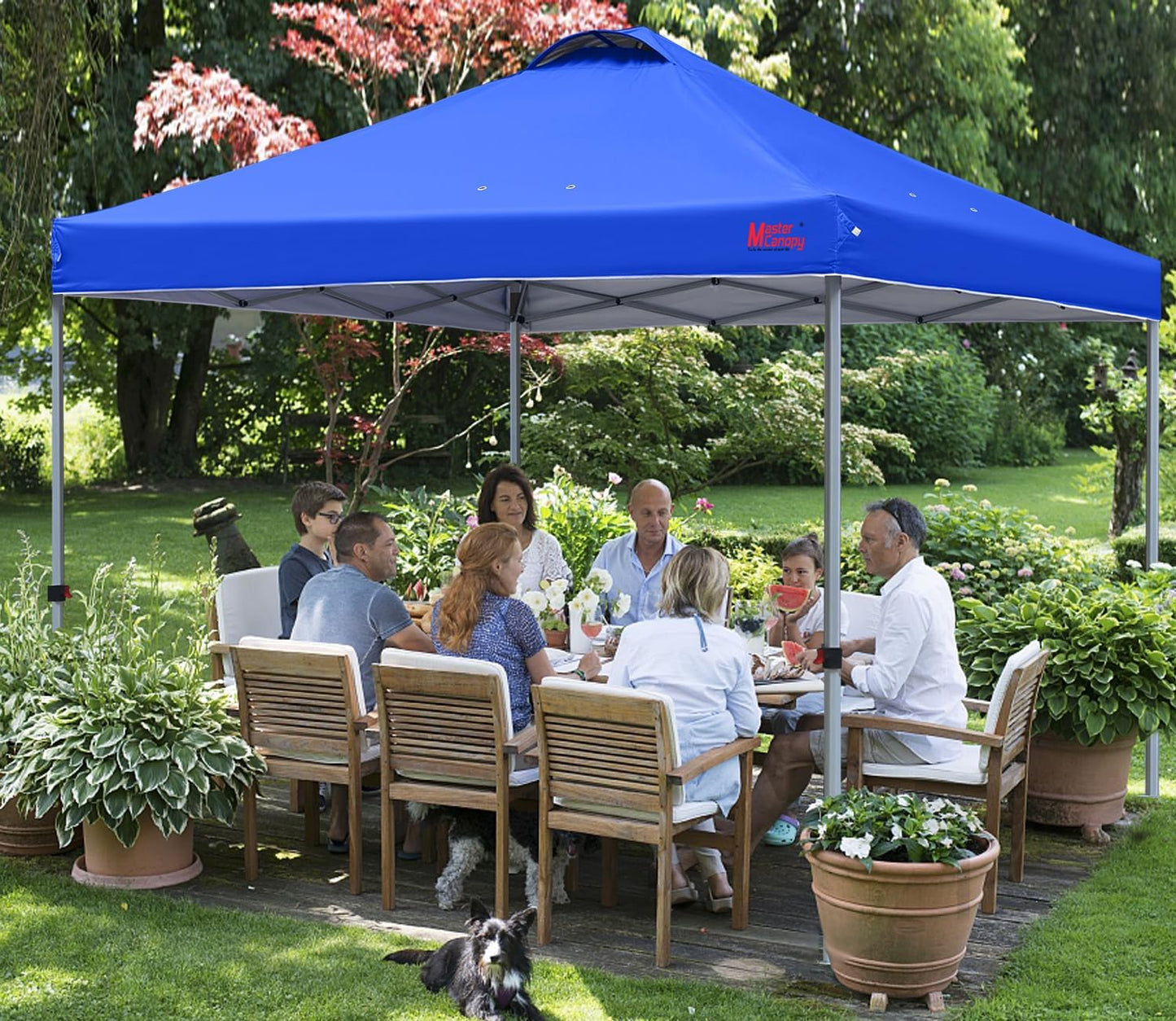 MASTERCANOPY Durable Pop-up Canopy Tent with Roller Bag (10x10, Blue)