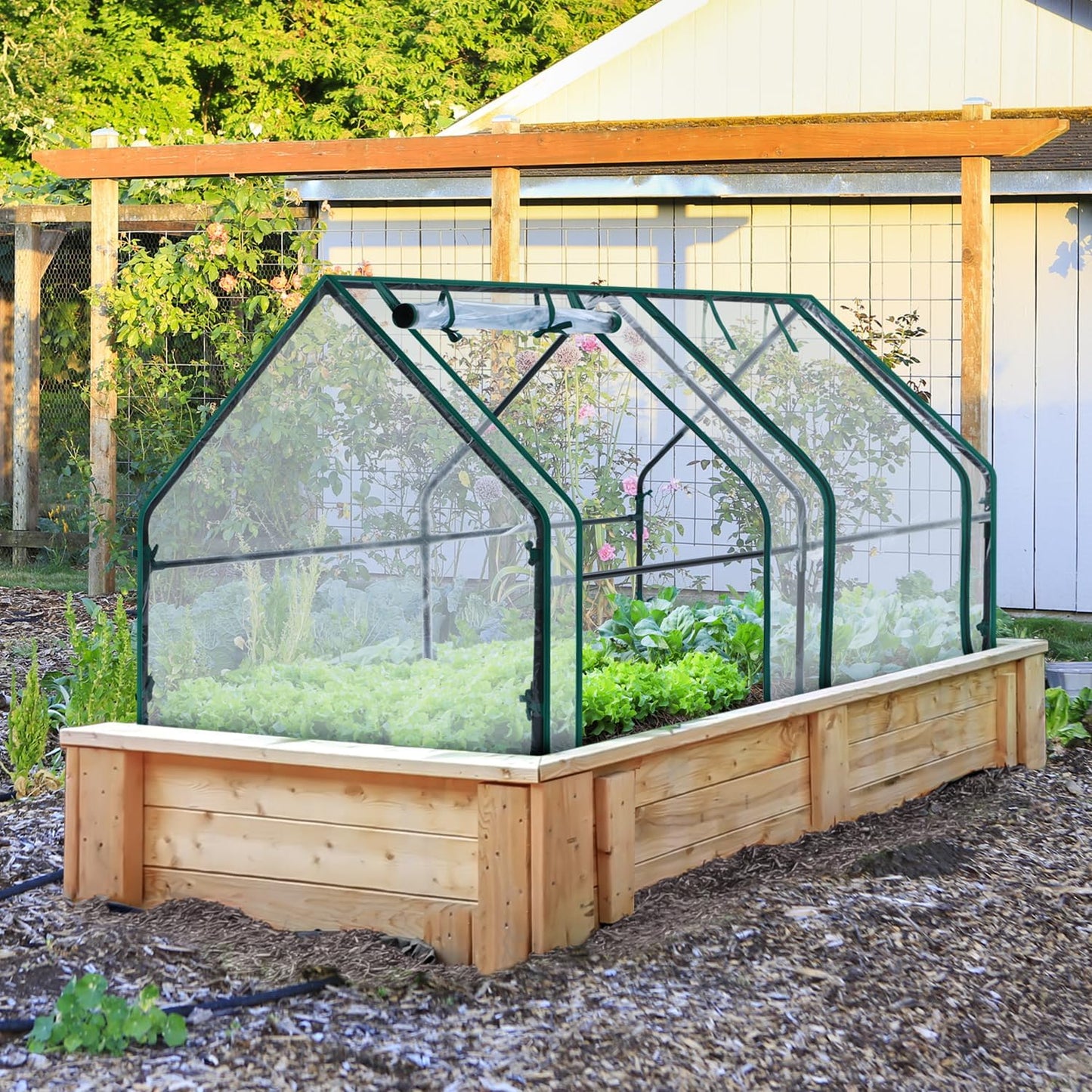 Ohuhu Portable Mini Greenhouse, 71"x36"x36" Greenhouses for Outdoors with Dual Large Zipper Doors & Ground Stakes, Waterproof & UV Protected Plastic Green House for Outside Garden Patio Transparent