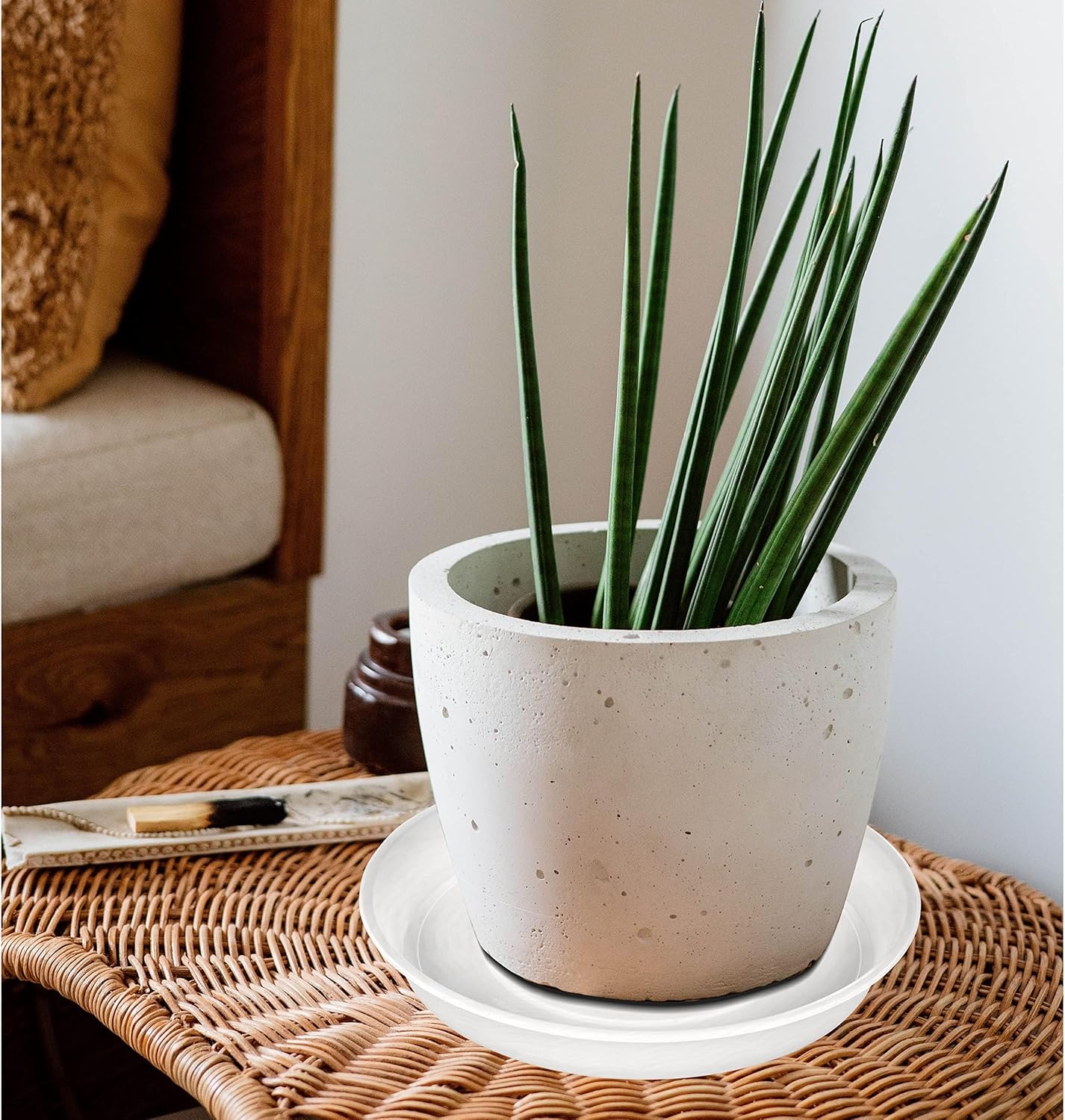 2 Pack of 12 inch Plant Saucer, 1.7" Depth Tray, Large Deep Garden Plastic Flower Planter Plant Trays for Indoors Outdoor Bath Bath (12", Clear)