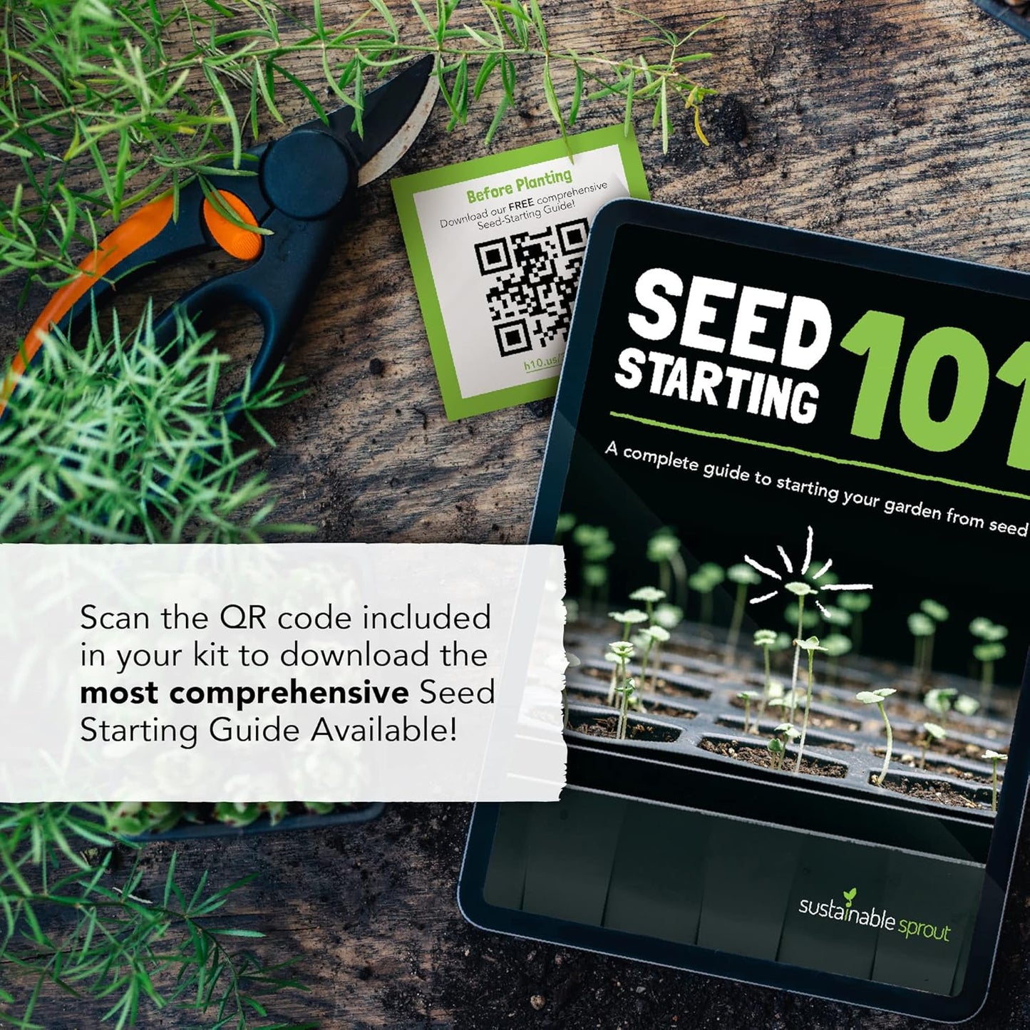 Culinary Herb Seeds Variety Pack: 10 Spice Herbs, Hydroponic Garden Indoors, Heirloom Planting Basil, Parsley, Sage, Thyme, Rosemary, Cilantro, Chives Dill Oregano, Summer Savory by Sustainable Sprout