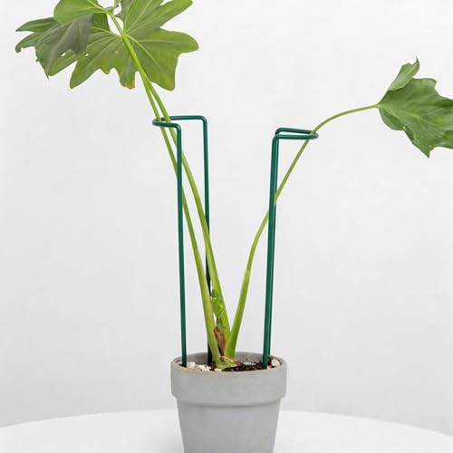Set of 10 Indoor Plant Support 12“- Durable U-Shape Iron Supports